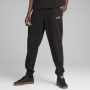 Męskie spodnie dresowe Puma ESS 2 Color No. 1 Logo Sweatpants FL cl