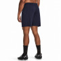 Spodenki męskie Under Armour M's Ch. Knit Short