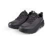 Męskie buty trekkingowe Mammut Ducan III Low GTX Men