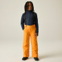 Dziecięce spodnie narciarskie Dare 2b Outmove III Insulated Pant ElectricOrng
