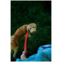 Smycz dla psa Nite Ize LED NiteDog
