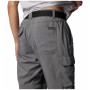Spodnie męskie Columbia Silver Ridge™ Utility Convertible Pant