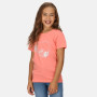 T-shirt dziecięcy Regatta Bosley VI