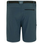 Spodenki męskie Regatta Xert Stretch Shorts