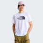 Koszulka męska The North Face Evolution Half Dome Regular Short Slee