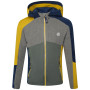 Bluza dziecięca Dare 2b Hero Core Stretch żółty/zielony AntMoss/Agav