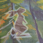 Podkładka High Tail Designs Tyvek Ground Cloth Yellowstone Wilderness