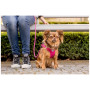 Smycz dla psa Curli Stretch Comfort Leash