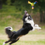 Zabawka dla psa Nerf Dog Color Grip Tri Flyer 20 cm