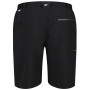 Męskie szorty Regatta Xert Stretch Shorts III