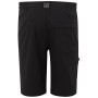 Męskie szorty Regatta Highton Shorts Long II