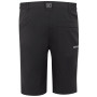 Męskie szorty Regatta Highton Shorts Long II
