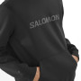 Bluza męska Salomon Logo Hoodie M