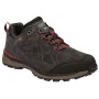 Buty męskie Regatta Samaris Suede Low szary/czerwony Peat/DelhiRd 