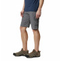 Męskie szorty Columbia Silver Ridge™ II Cargo Short