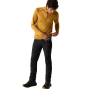 Męskie spodnie softshellowe Regatta Geo Softshell Trousers