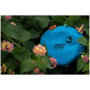 Kieszonkowe frisbee Ticket to the moon Pocket Moon Disc