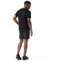 Koszulka męska Smartwool Merino Short Sleeve Tee Boxed