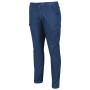Spodnie męskie Regatta Bryer Cargo Trousers II ciemnoniebieski Dark Denim