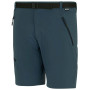 Spodenki męskie Regatta Xert Stretch Shorts