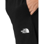 Spodnie męskie The North Face M Standard Pant