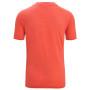 Męska koszulka Icebreaker Men ZoneKnit™ SS Tee GEODETIC