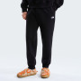 Męskie spodnie dresowe The North Face M Evolution Simple Dome Regular Jogger