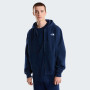 Bluza męska The North Face M Evolution Simple Dome Regular Full Zip