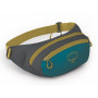 Nerka Osprey Daylite Waist zielony/szary deep peyto green/tunnel vision