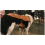 Ubranko dla psa Ruffwear Overcoat Fuse™ Insulated Vest