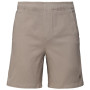 Spodenki męskie Black Diamond M Dirtbag Twill Shorts
