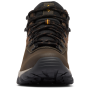 Buty męskie Columbia Newton Ridge™ Plus II Waterproof