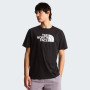 Koszulka męska The North Face Evolution Half Dome Regular Short Slee