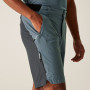 Męskie szorty Regatta Eldes Shorts