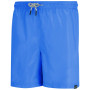 Spodenki męskie Regatta Mackleyna Swim Short