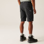 Męskie szorty Regatta Highton Shorts Long II