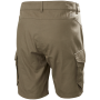 Męskie szorty Helly Hansen Dock Cargo Shorts