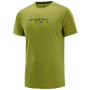 Koszulka męska Salomon Agile Graphic Tee M zielony AvocadoHeat