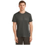 Męska koszulka Icebreaker Merino Blend Core SS Tee Single Line Camp