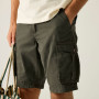 Spodenki męskie Regatta Shorebay Shorts II