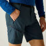 Spodenki męskie Regatta Xert Stretch Shorts