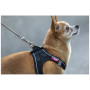Smycz dla psa Curli Ultra Strong Pocket Leash