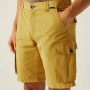 Spodenki męskie Regatta Shorebay Shorts II