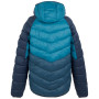 Kurtka męska Regatta Hooded Dalent