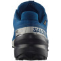 Buty do biegania dla mężczyzn Salomon Speedcross 6 Gore-Tex