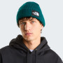 Czapka The North Face Salty Lined Beanie