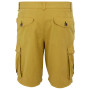 Męskie szorty Regatta Shorebay Shorts II