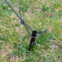 Hamak Warg Bugshield