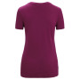 Damska koszulka Icebreaker Women Tech Lite II SS Tee Mountain Geology