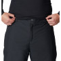 Męskie spodnie narciarskie Columbia Bugaboo™ IV Pant